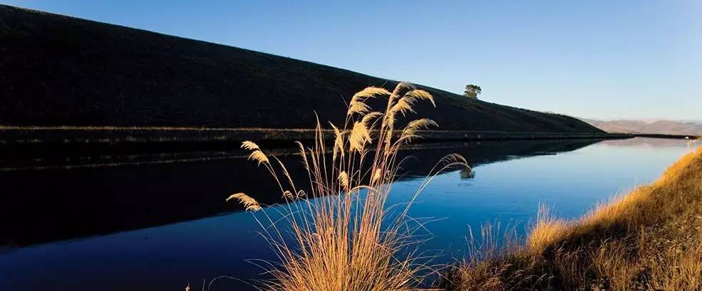 新西兰南岛大海,新西兰海鲜哪个最好吃视频