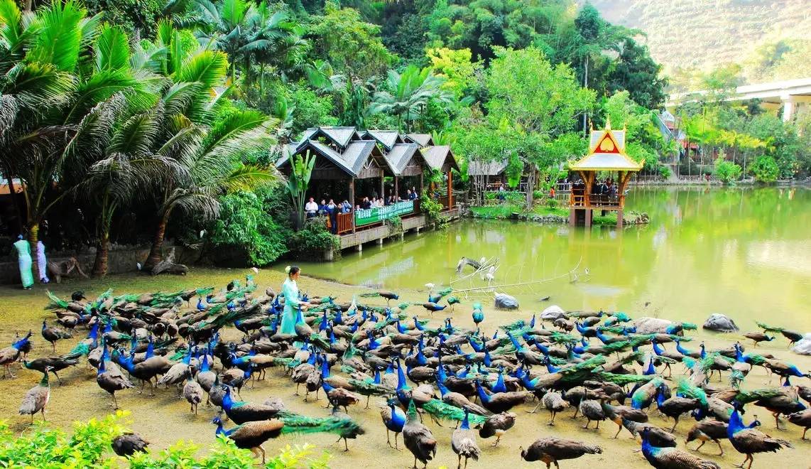 合肥到云南旅游全攻略自由行,合肥出发去云南攻略