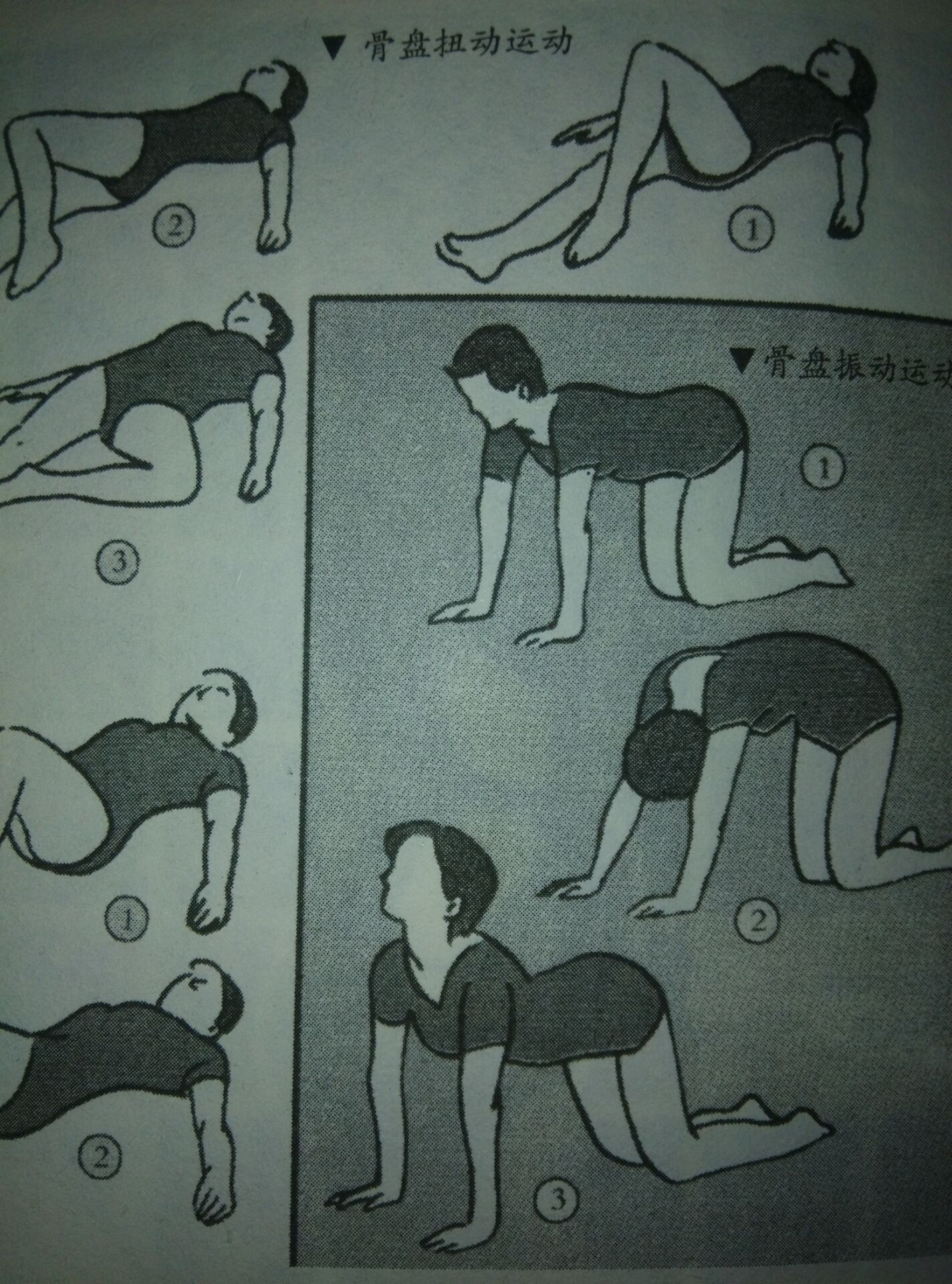 妊娠10周临床表现,十月怀胎电视剧第二十集