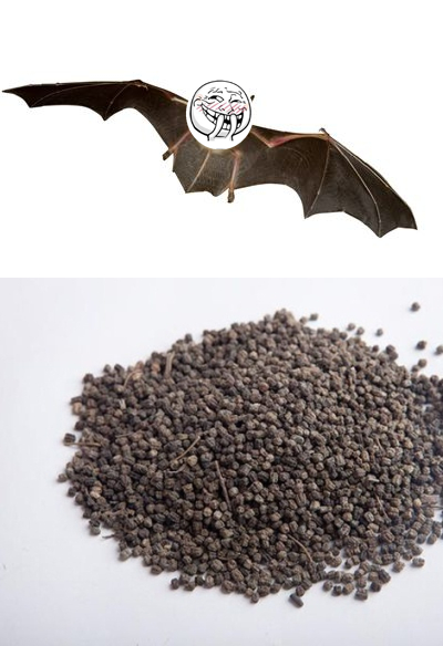 这些屎你曾吃过吗？