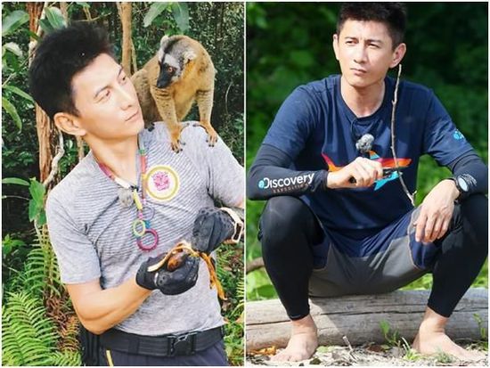 王凯新栏目爬88层楼，林允冯绍峰同游韩国被拍...