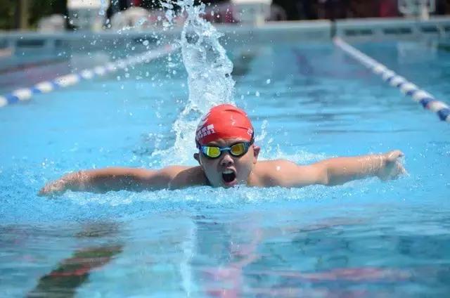 2019浩沙杯青少年游泳冠军赛,第六届厦金青少年游泳大赛
