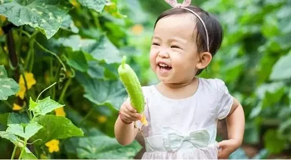 婺源市亲子游,江西婺源暑期亲子游