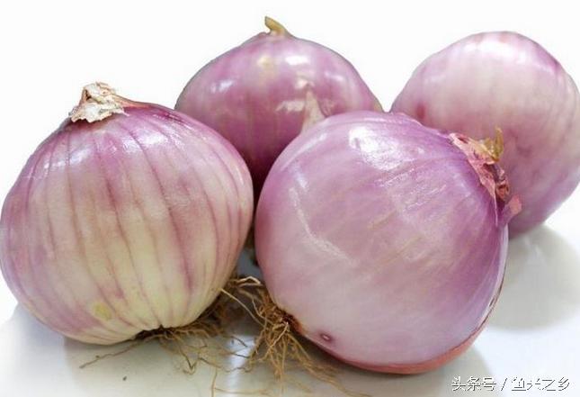 洋葱有抗癌防癌的作用吗,洋葱有食疗作用吗