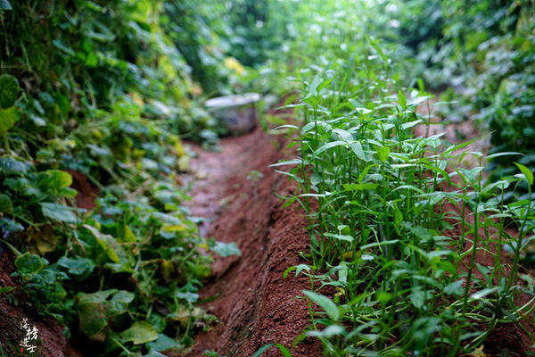行走红石沟，入眼皆是画