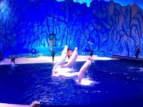 珠海长隆海洋王国游玩攻略暑假,两天一夜珠海长隆海洋王国攻略