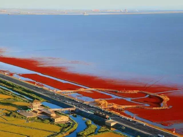 盘锦今年的夏天天气有多热,盘锦的夏天有什么风景