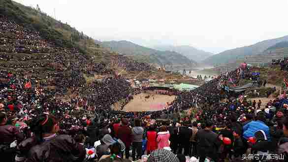 胜过世界杯开局的东方式斗牛，部族交流应撇开“赌注”低俗背景