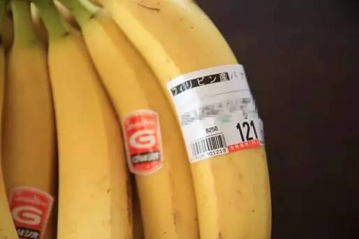 在日本天天吃巴豆,在日本吃西瓜是很奢侈的事吗