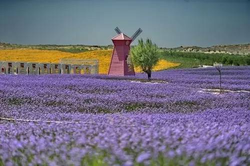 银川真的适合带孩子去吗,银川免费好玩的地方推荐
