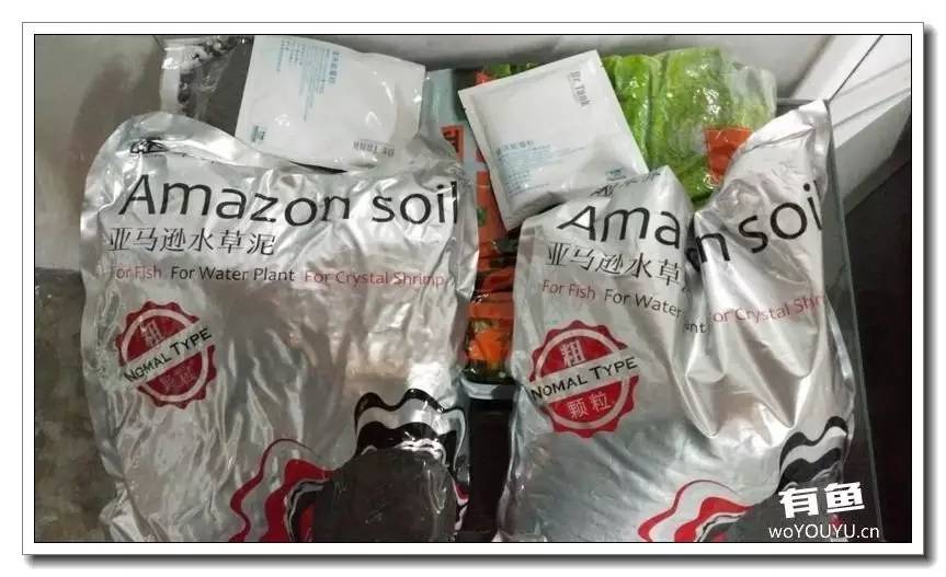 新手小白原生缸开缸教程,鱼缸怎么用高锰酸钾开缸详细教程