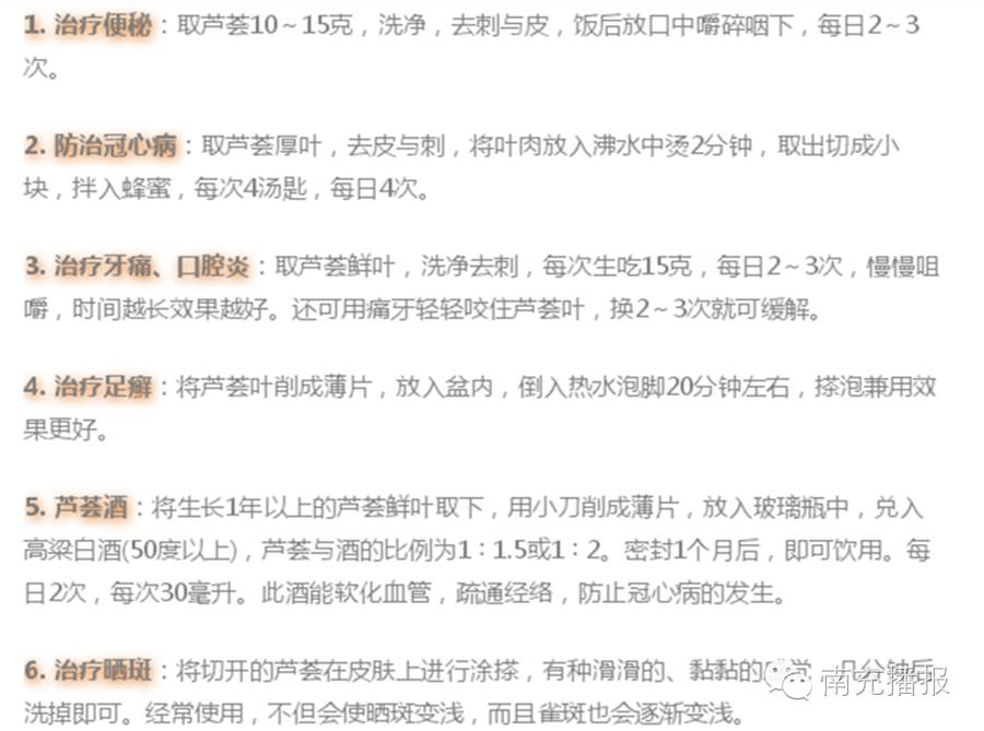 这个植物能治多种病,农村这些植物可都是宝