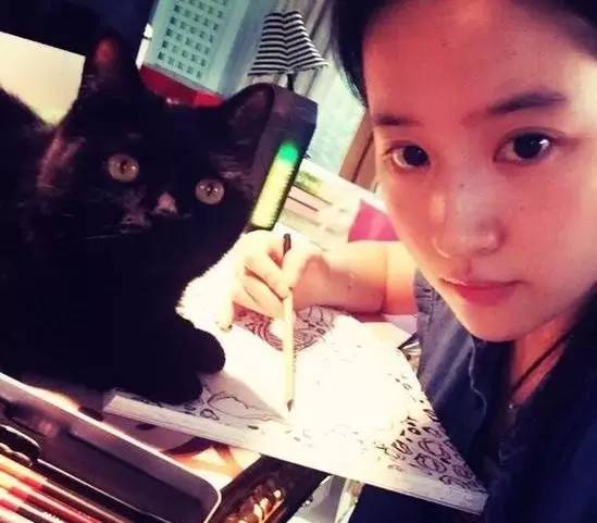 美术生收集资料的网站,美术生查询学校的软件