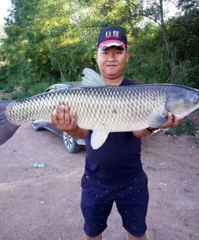 《渔获战报》大青鱼爆连引发的连环事件