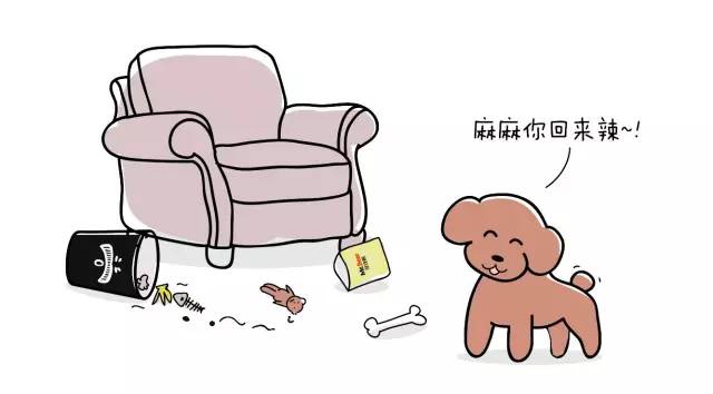 狗狗艾米搞破坏,狗狗为什么在家里搞破坏