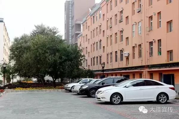 五载流金岁月　铸就风华大洼