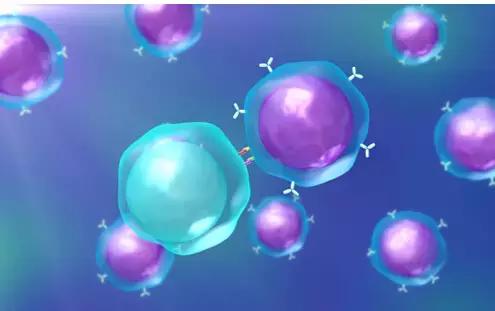 45周岁有必要接种hpv疫苗吗,36岁还有必要接种hpv疫苗吗