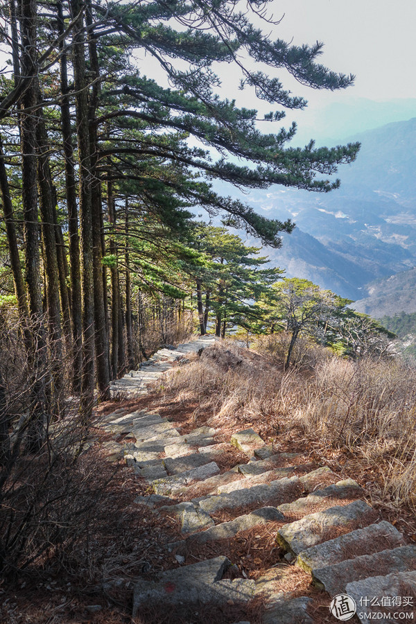 icebreaker滑雪服,icebreaker黑色保暖衣