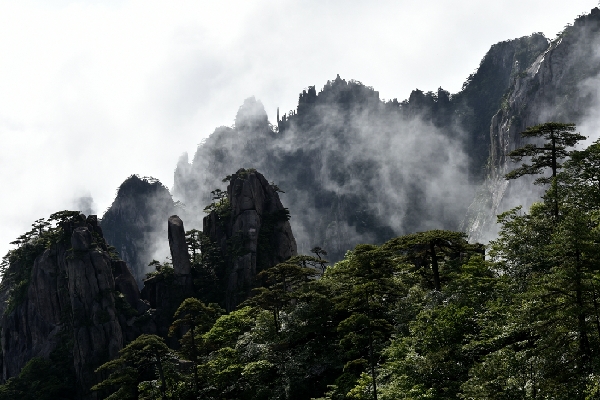 黄山四绝奇松迎客松,黄山五绝和黄山五胜