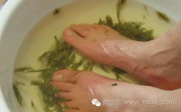 别扔！这种茶叶1秒就可以变废为宝！