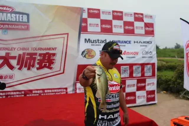 卧龙湖旅游攻略,卧龙山游记600字