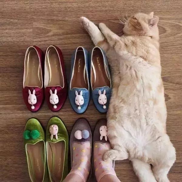 B格升级｜动个手脚，你的包更嗲啦