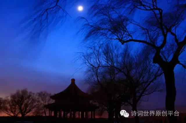 柳树诗句最出名诗句,最有韵味的咏柳诗词