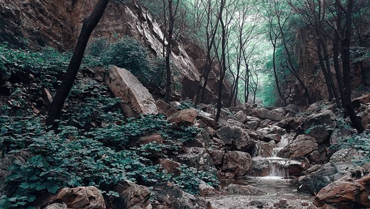 原来可以这么美这么精致,原来可以这么美舞蹈视频