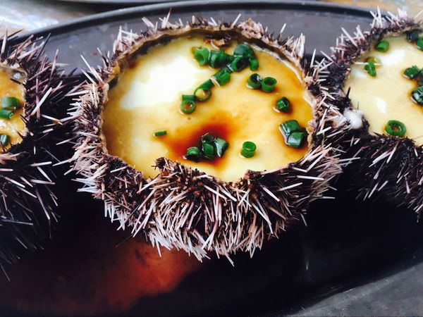 三亚天海一色演唱会,三亚亚龙湾一线海景复式