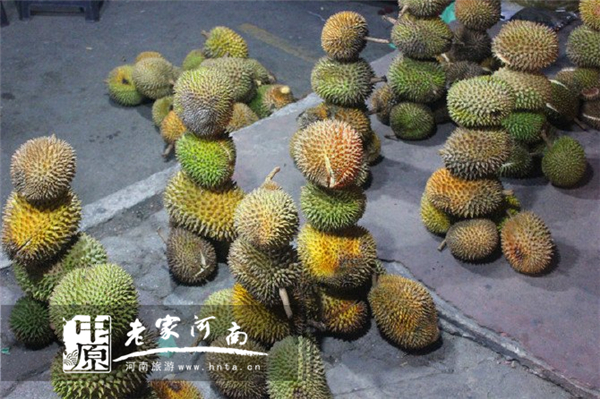 金秋沙巴游 (暑假去沙巴旅游攻略)