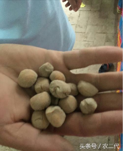 传统手工炒面,北方传统小零食炒面豆