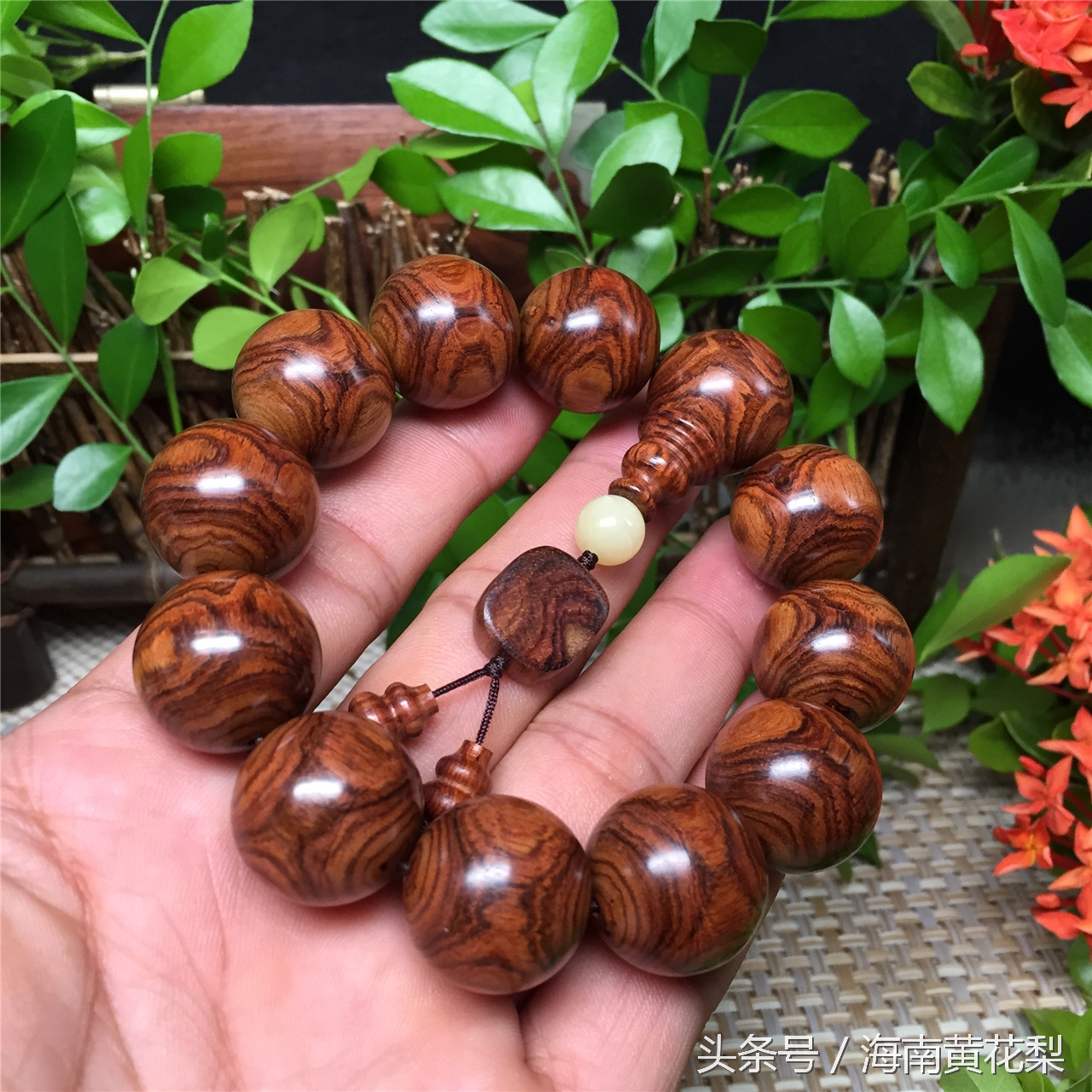 海南黄花梨老料欣赏,海南黄花梨老料还有多少