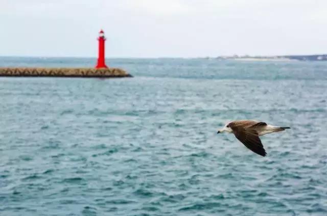 济州岛对中国一直免签吗,济州岛是对全球免签的吗