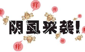 阴虱的传播途径只有一个