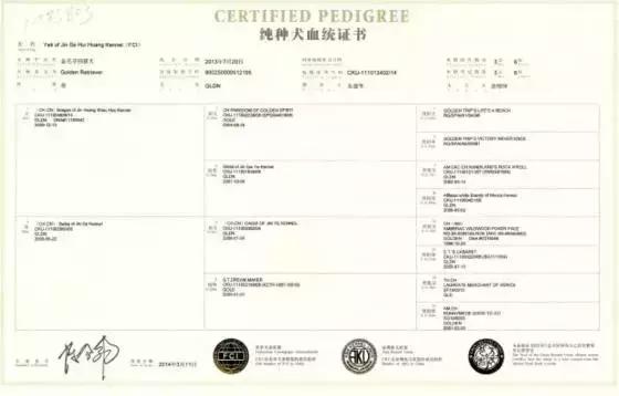 血统证书怎么查询真伪,血统证书手续应该哪方办理