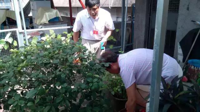 海珠防治白蚁,2014年海珠区登革热