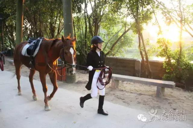 南京七夕开车约会指南,七夕约会流程安排重庆
