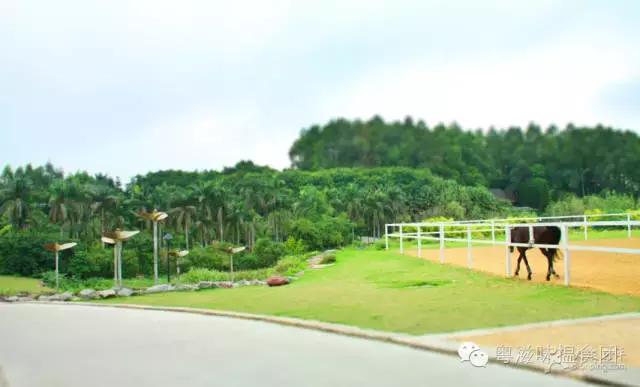 七夕开车去约会,七夕开车约会指南