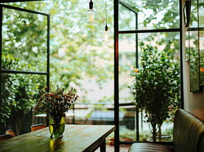 爱做梦的人智商高,爱做饭的小姐姐