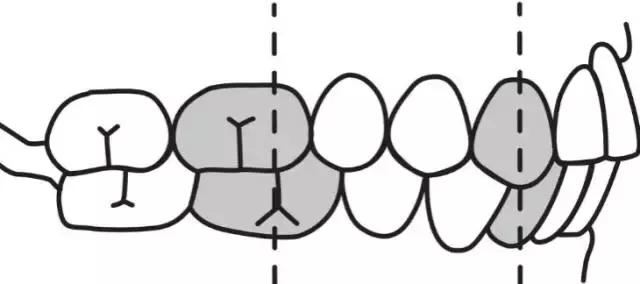 正畸专家介绍图,正畸医生关于整牙的10条建议