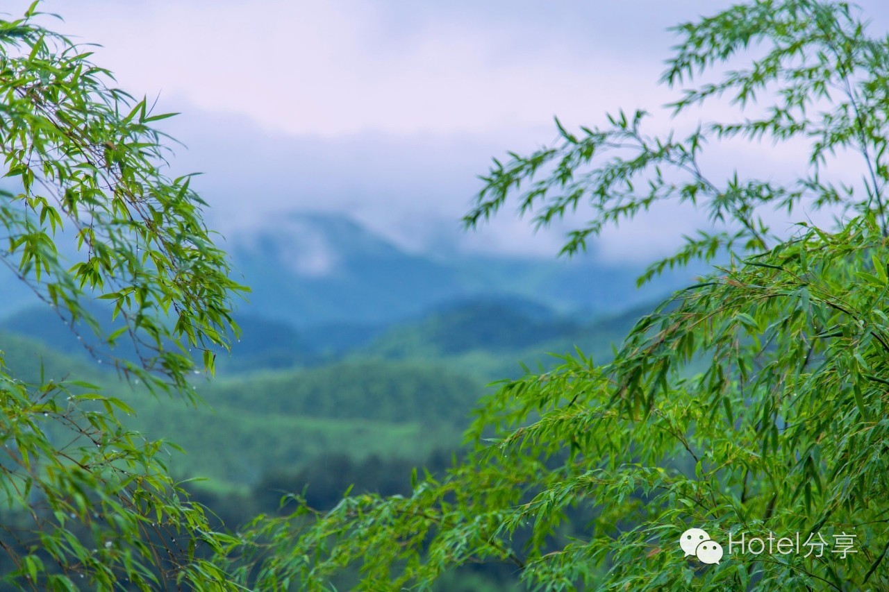 莫干山裸心谷简介,莫干山裸心堡有什么好玩的