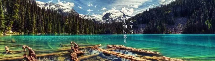 414th｜画笔一直胡涂