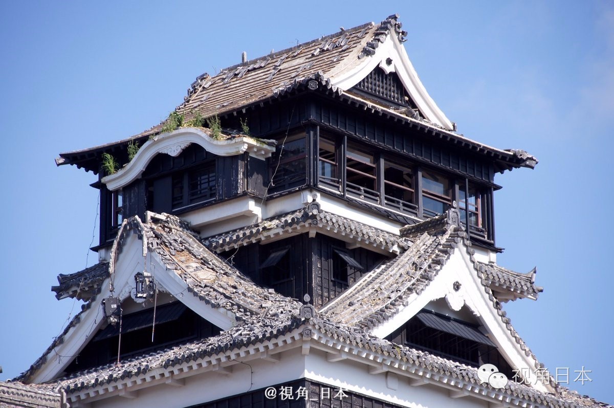 三鹰之森吉卜力美术馆到成田机场,三鹰之森吉卜力美术馆闭馆时间