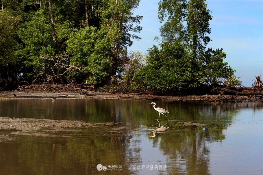 放学别走！雪兰莪喊你去补生物课！