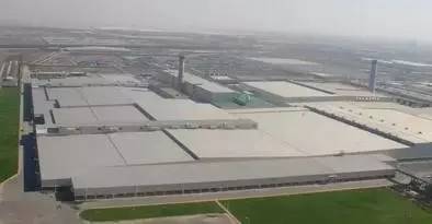 给力泰达,2019泰达战绩