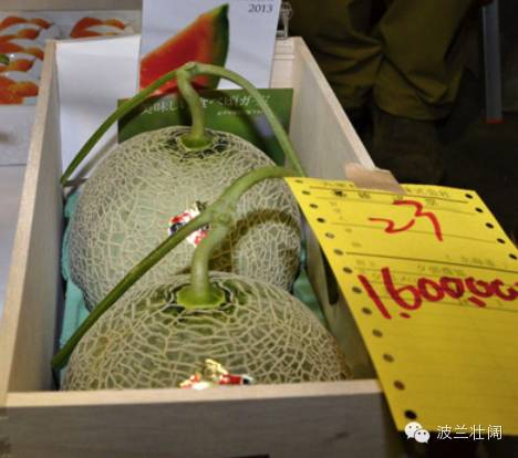 土豆每500克3元买2千克要多少钱,土豆每公斤107元