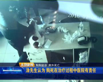 狗子脖子长了包有脓,狗脖子下面长疮怎么办