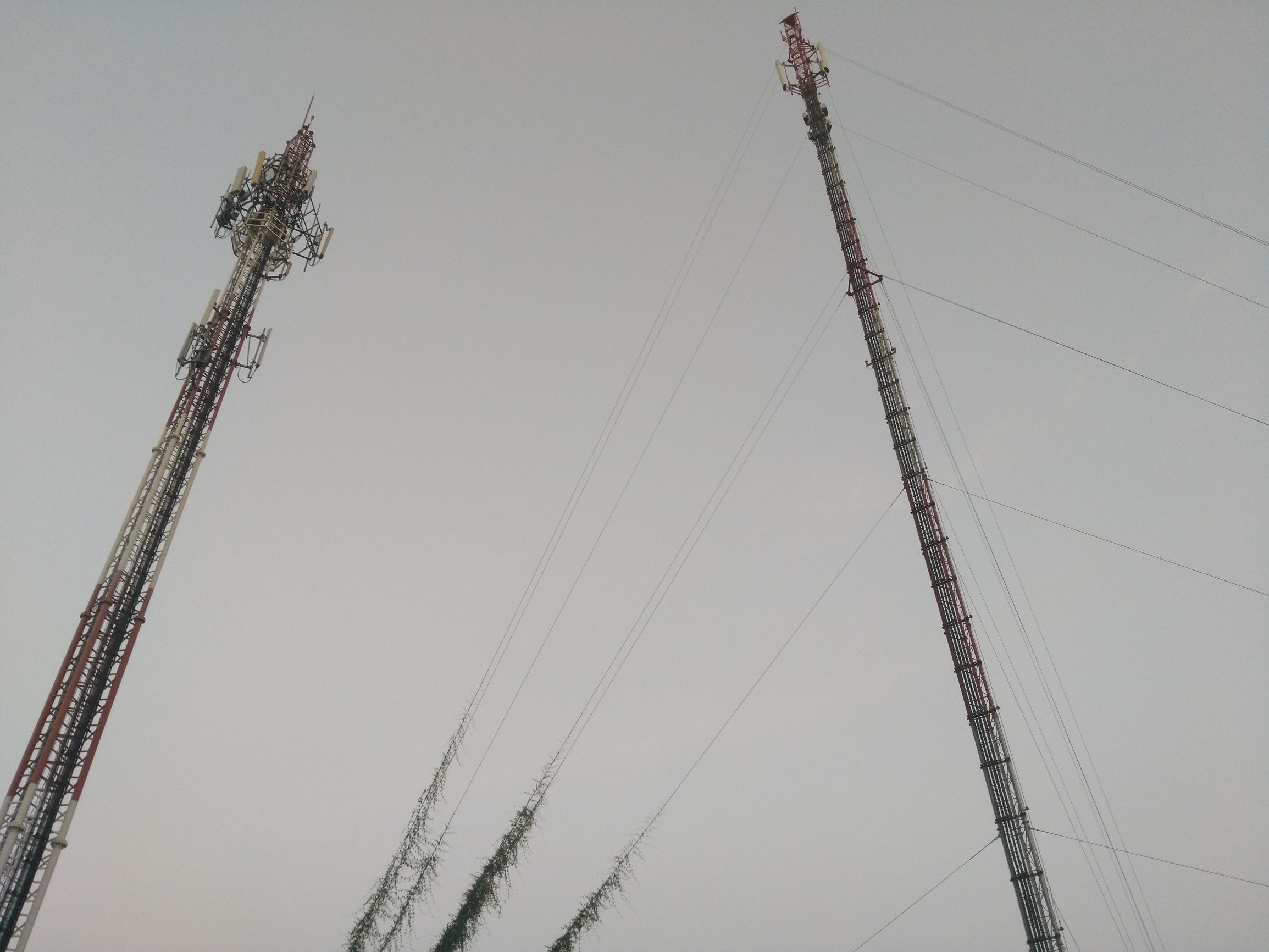 带着最强千元机荣耀5X去泰国畅玩