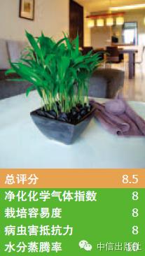 雾霾天室内空气真的比室外好吗,室内防止雾霾的小妙招