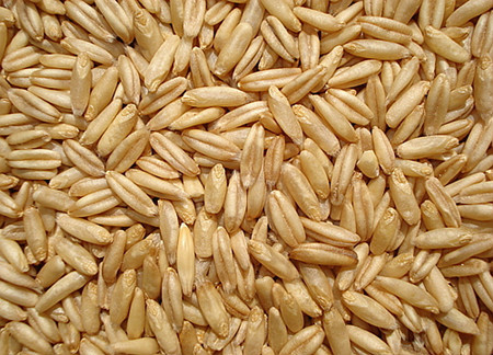 五谷杂粮食疗养生的功效有哪些,养生五谷粥里都有什么